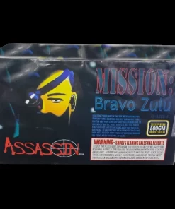 MISSION BRAVO ZULU